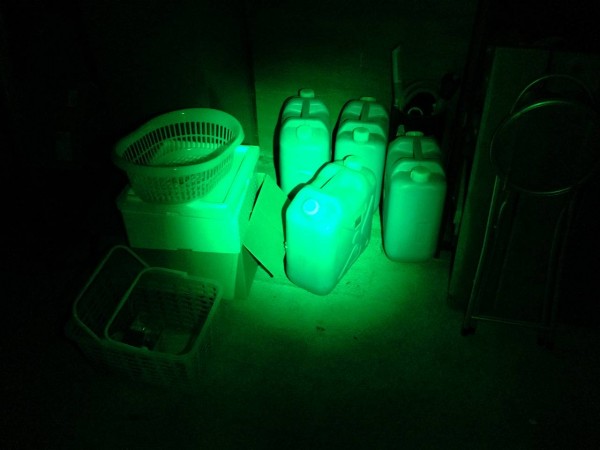 Weltop-11led-white-green-red013