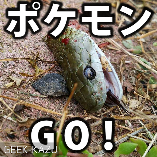 ポケモンgo ポケモンgoをしに散歩していたらリアルなアーボ ヘビ をゲットした話 グロ注意 Geek Kazu